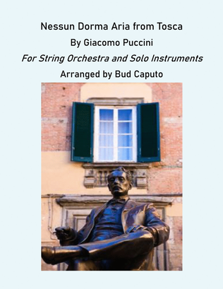 Book cover for Nessun Dorma for String Orchestra and Various Solo Instruments