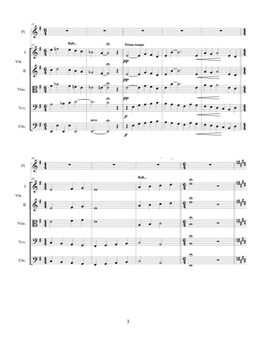 Concerto in E minor for flute and string orchestra in three parts, and Final image number null