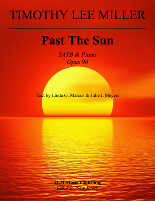 Book cover for Past The Sun
