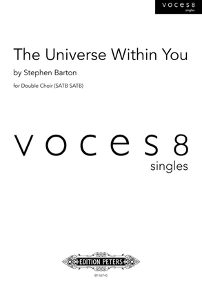 Book cover for The Universe Within You