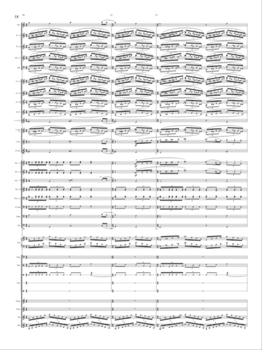 Windrider Concert Band - Sheet Music page 19