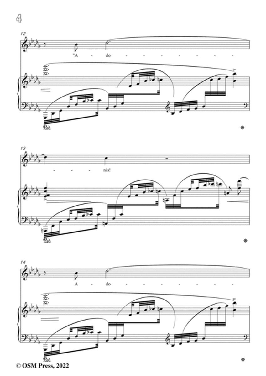 Richard Strauss-Frühlingsfeier,in b flat minor image number null