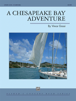 Book cover for A Chesapeake Bay Adventure