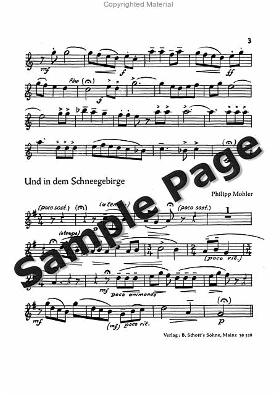 Mohler Ph Festliche Liedkantate Op37(dsb TTBB scores gallery preview page 20