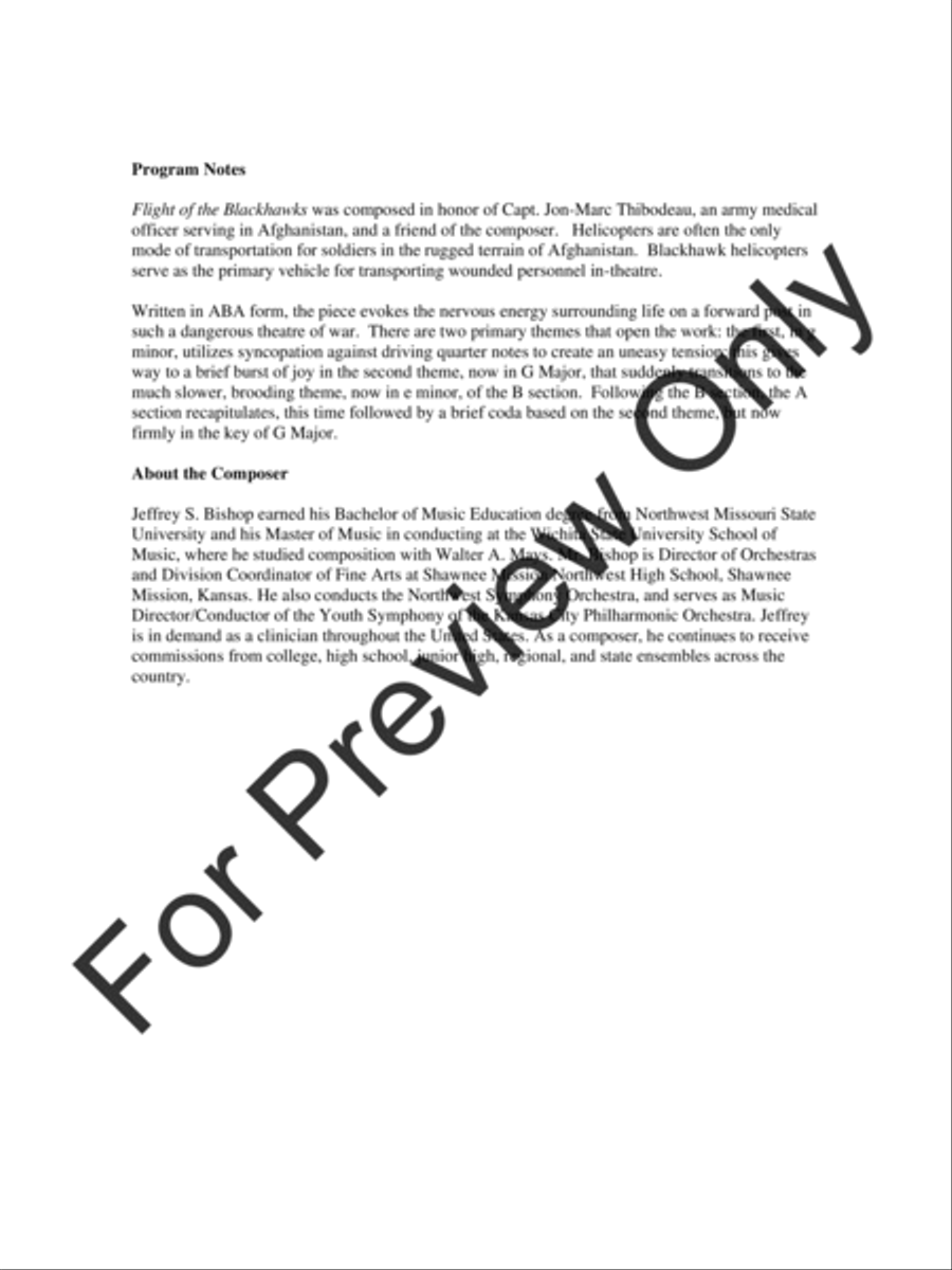 Flight of the Blackhawks Flight of the Blackhawks String Orchestra scores gallery preview page 3