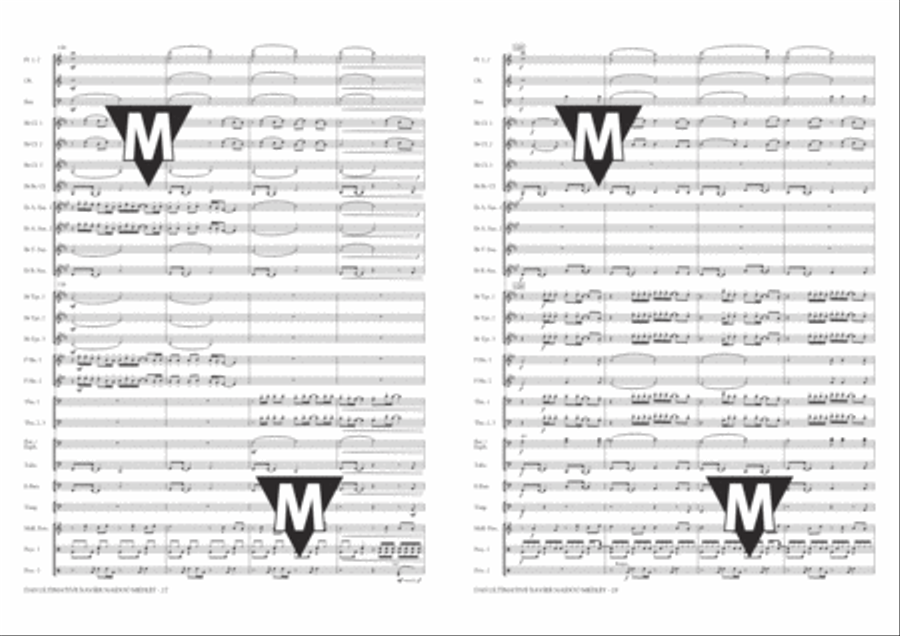 Das Ultimative Xavier Naidoo Medley Concert Band scores gallery preview page 15