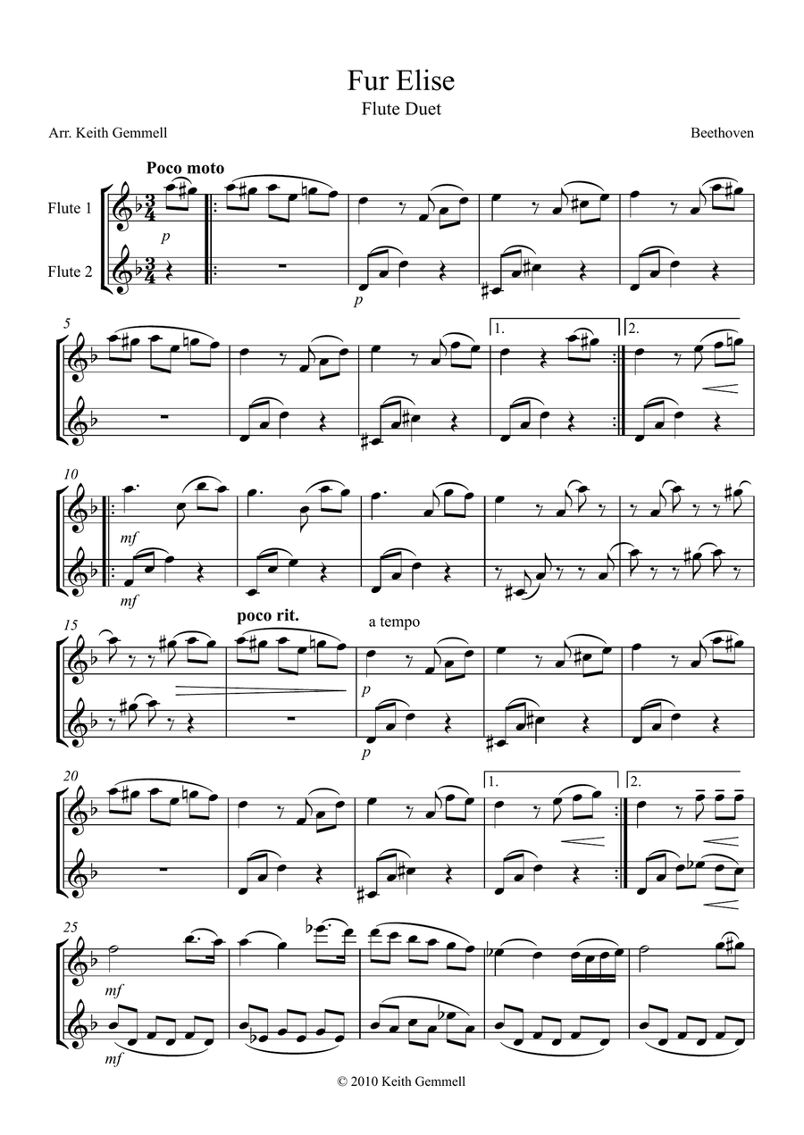 Fur Elise – Flute Duet Flute Duet scores gallery preview page 1