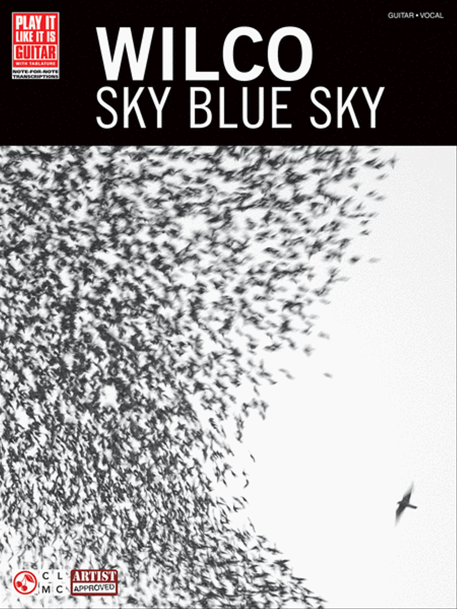 Wilco – Sky Blue Sky Guitar Tablature scores gallery preview page 1