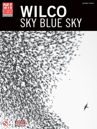 Book cover for Wilco – Sky Blue Sky