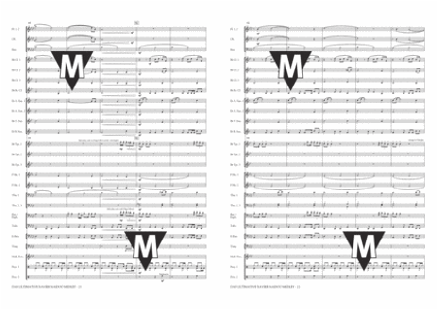 Das Ultimative Xavier Naidoo Medley Concert Band scores gallery preview page 12