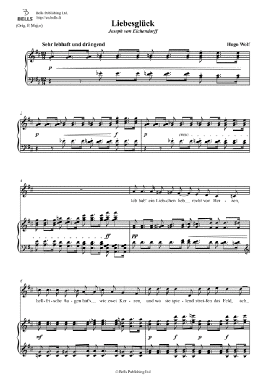 Liebesgluck (D Major) Voice Solo scores gallery preview page 1