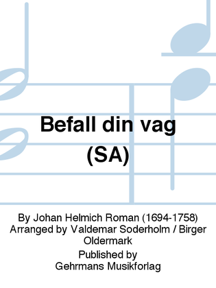 Book cover for Befall din vag (SA)