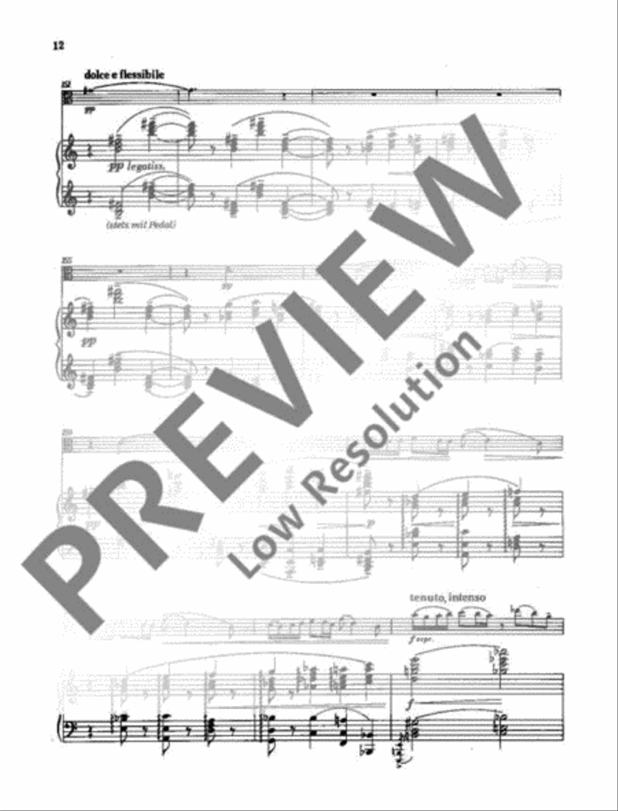 Sonata in E Piano Accompaniment scores gallery preview page 13
