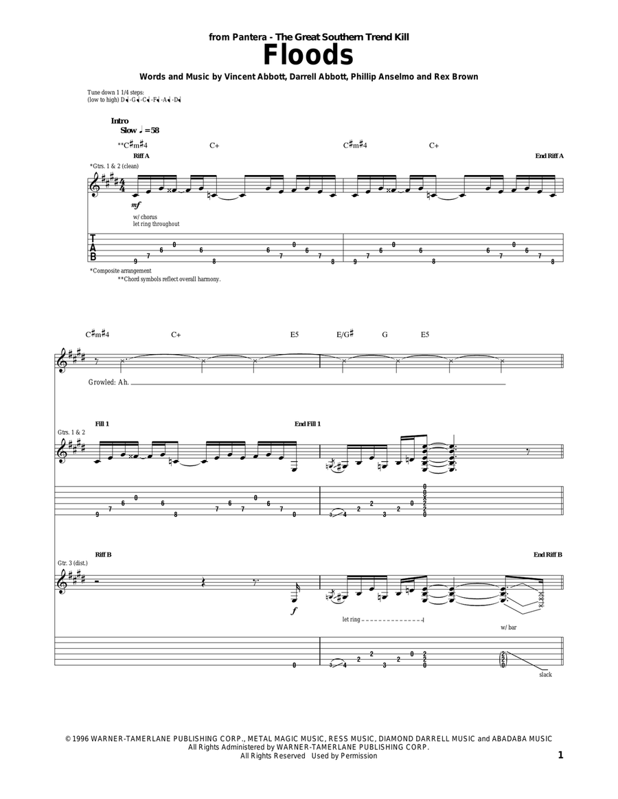 Floods Acoustic Guitar scores gallery preview page 1