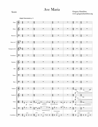 Ave Maria, for Chamber Orchestra and SATB Chorus (2015)