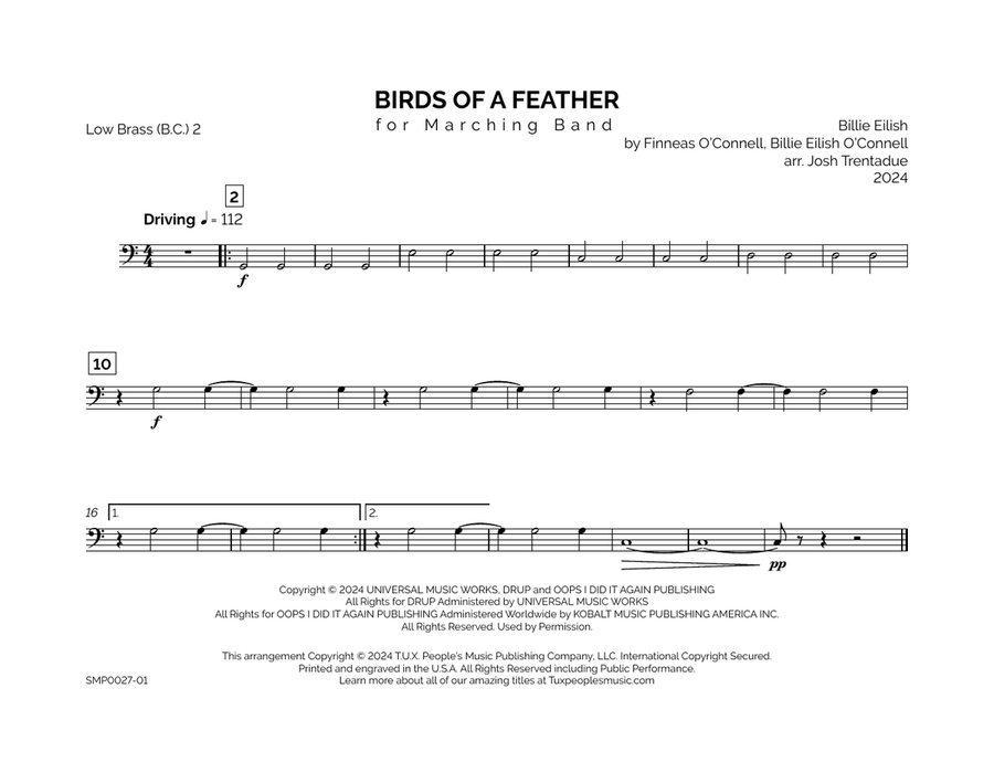 Birds Of A Feather Marching Band scores gallery preview page 5