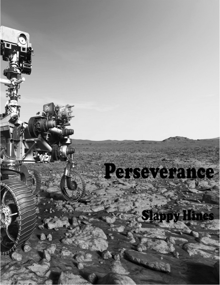 Perseverance image number null