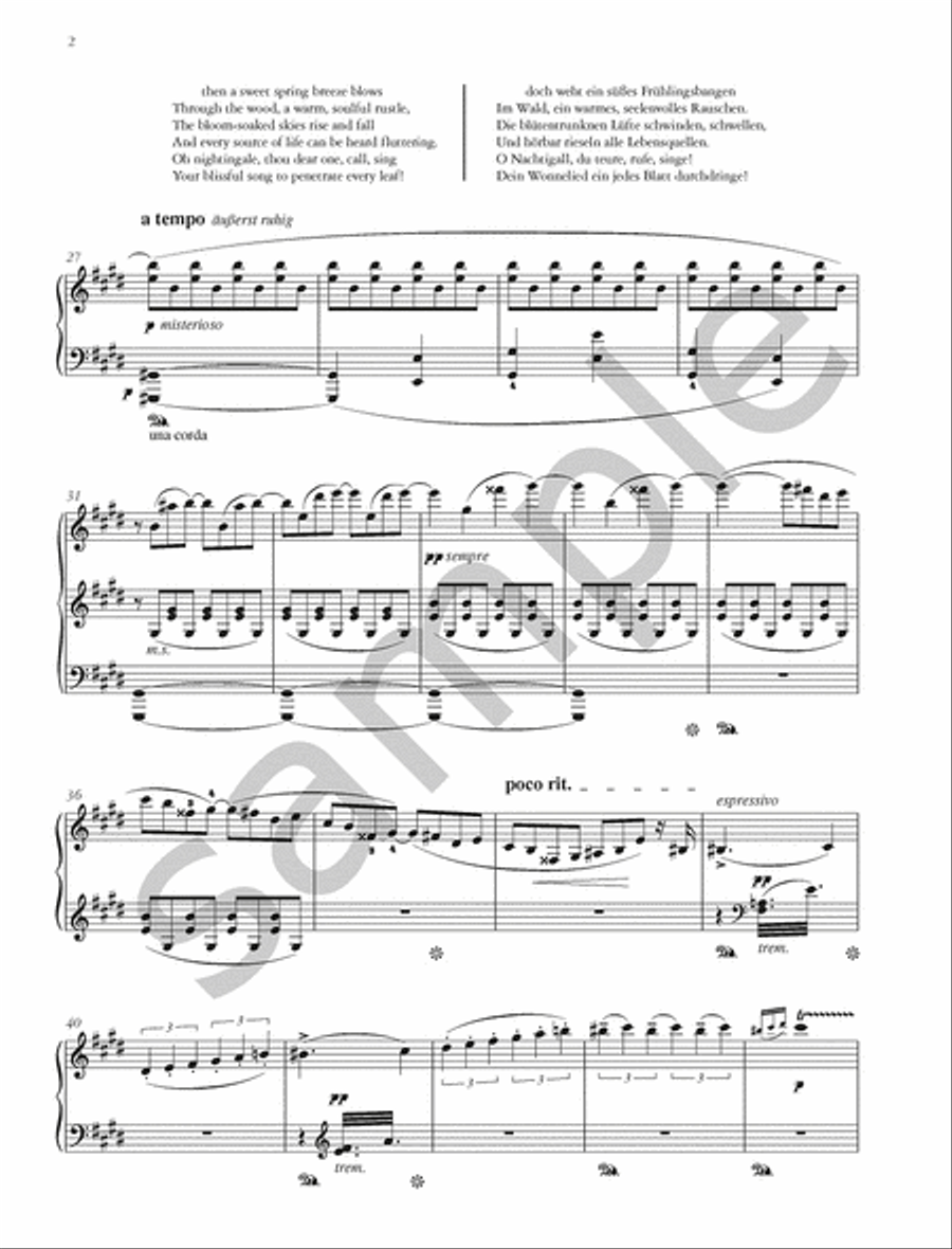The Procession by Night and Mephisto Waltz No. 1 for Piano Piano scores gallery preview page 6