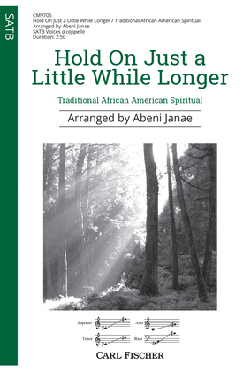 Book cover for Hold On Just a Little While Longer