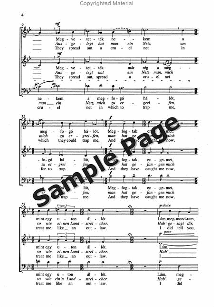 Bujdoso Bujdoso 3-Part scores gallery preview page 5