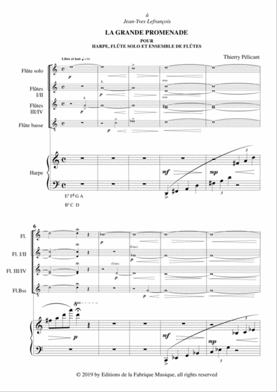 Thierry Pélicant: La Grande Promenade for solo flute, flute ensemble and harp Flute Solo scores gallery preview page 3