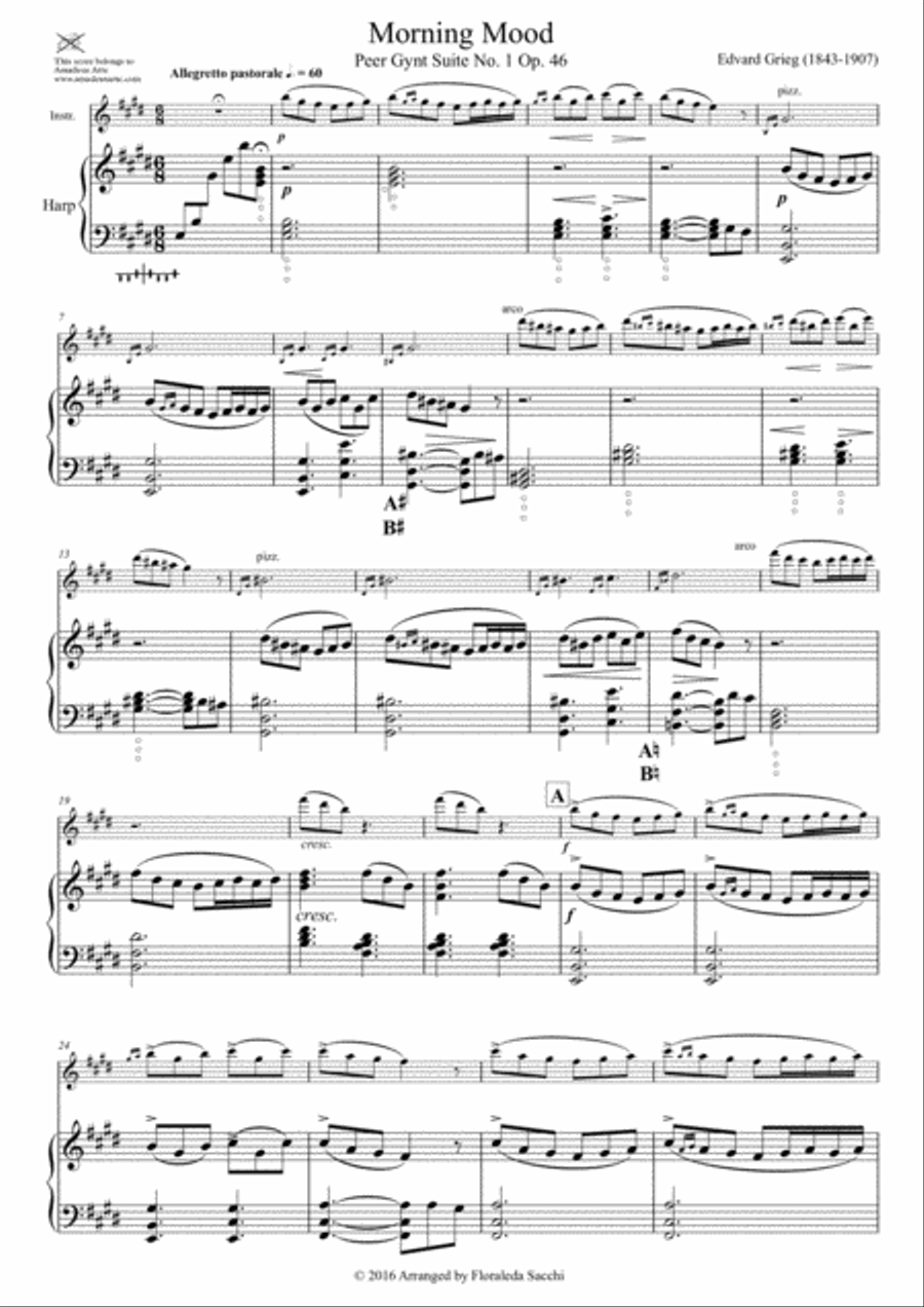 Peer Gynt Suite: Morning Mood, In the Hall of Mountain King, Solvejg's Song String Duet scores gallery preview page 3