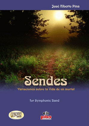 Book cover for Sendes