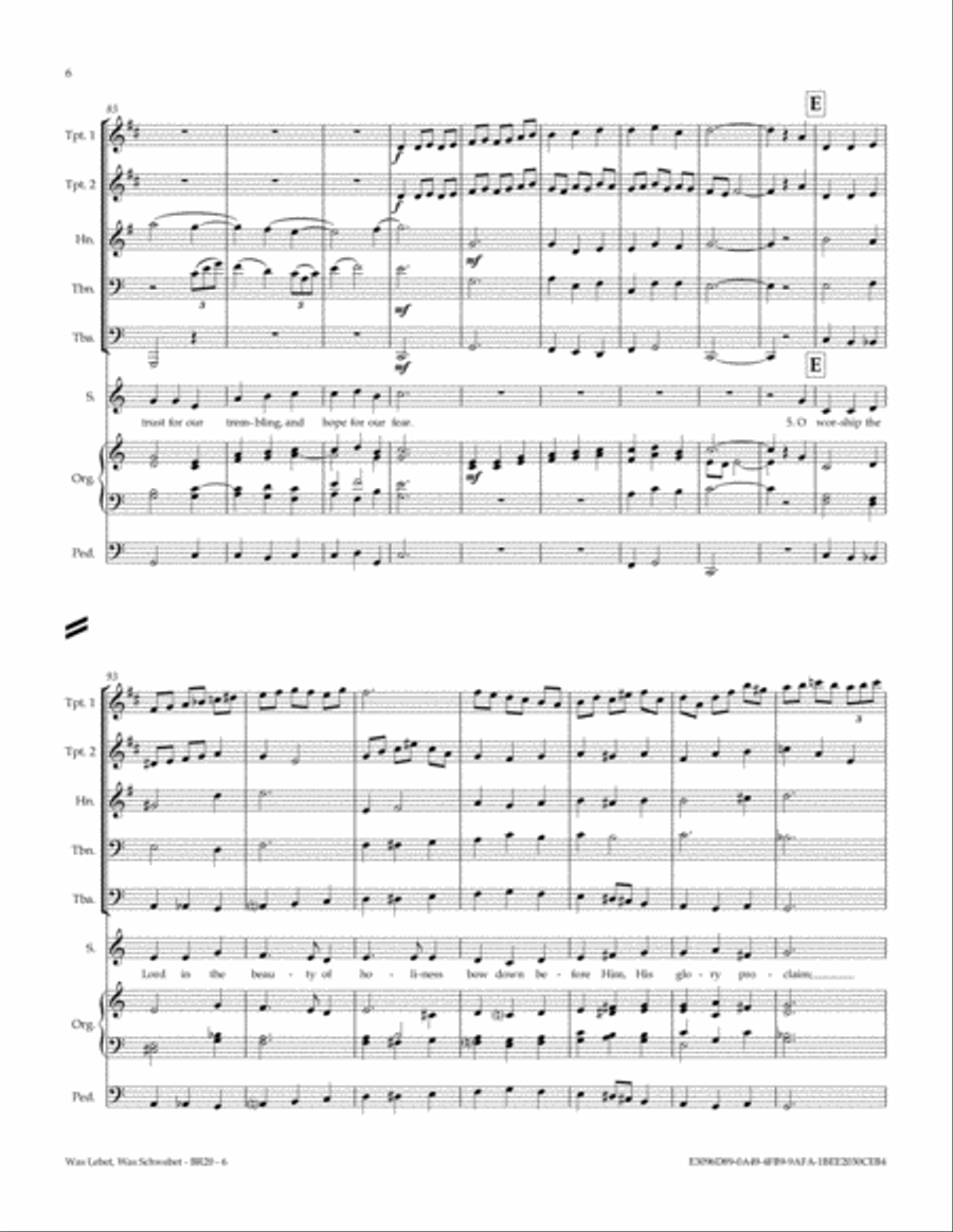 Was Lebet, Was Schwebet (O Worship The Lord In The Beauty Of Holiness) Small Ensemble scores gallery preview page 6