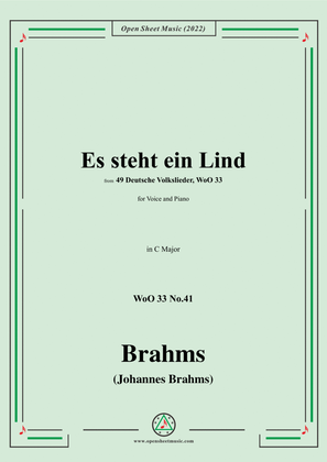 Book cover for Brahms-Es steht ein Lind,WoO 33 No.41