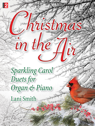 Book cover for Christmas in the Air
