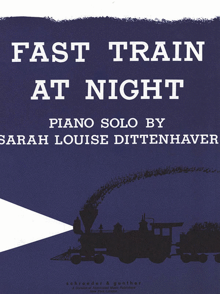 Fast Train at Night