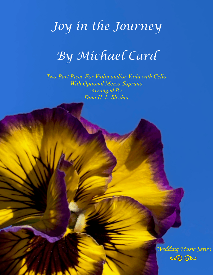 Book cover for Joy In The Journey