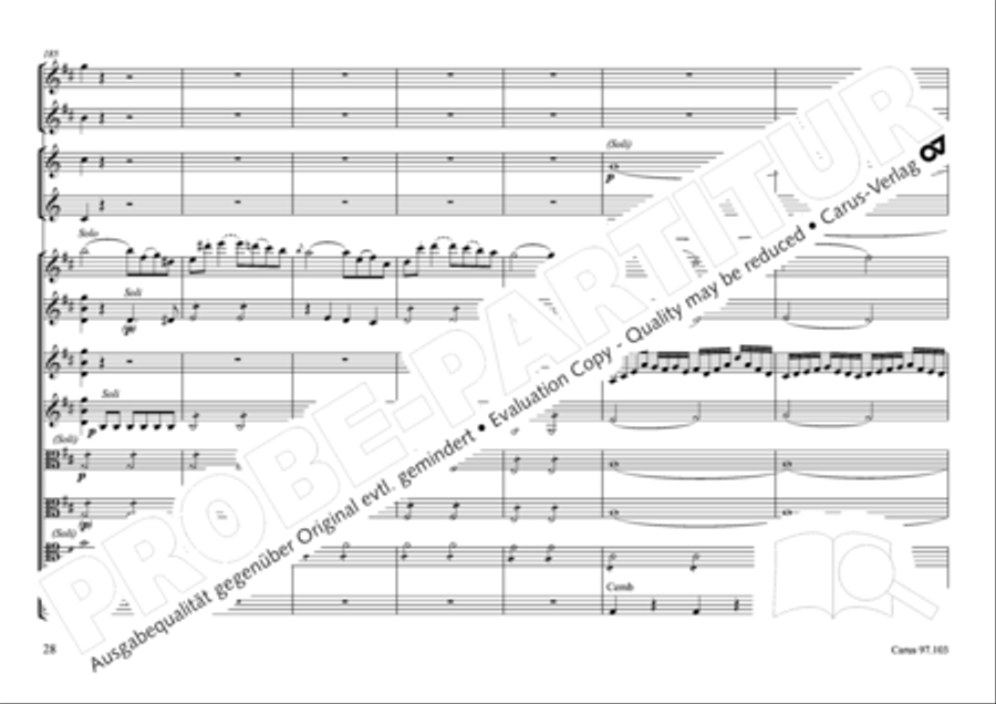 Concertone in D major Horn scores gallery preview page 29