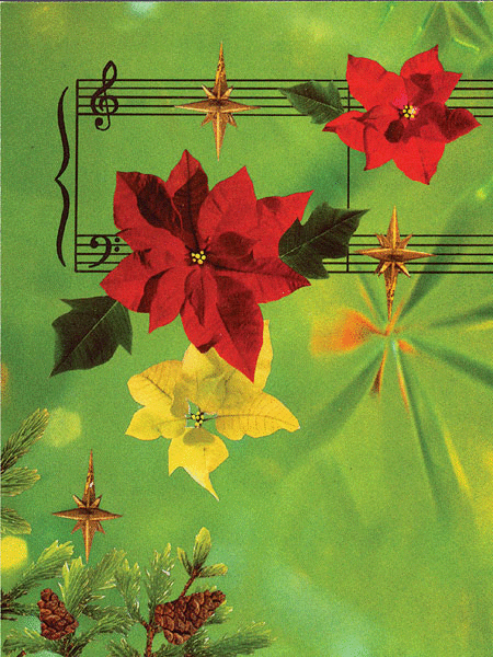 Greeting Cards: Poinsettias with Staff (Pack of 12)