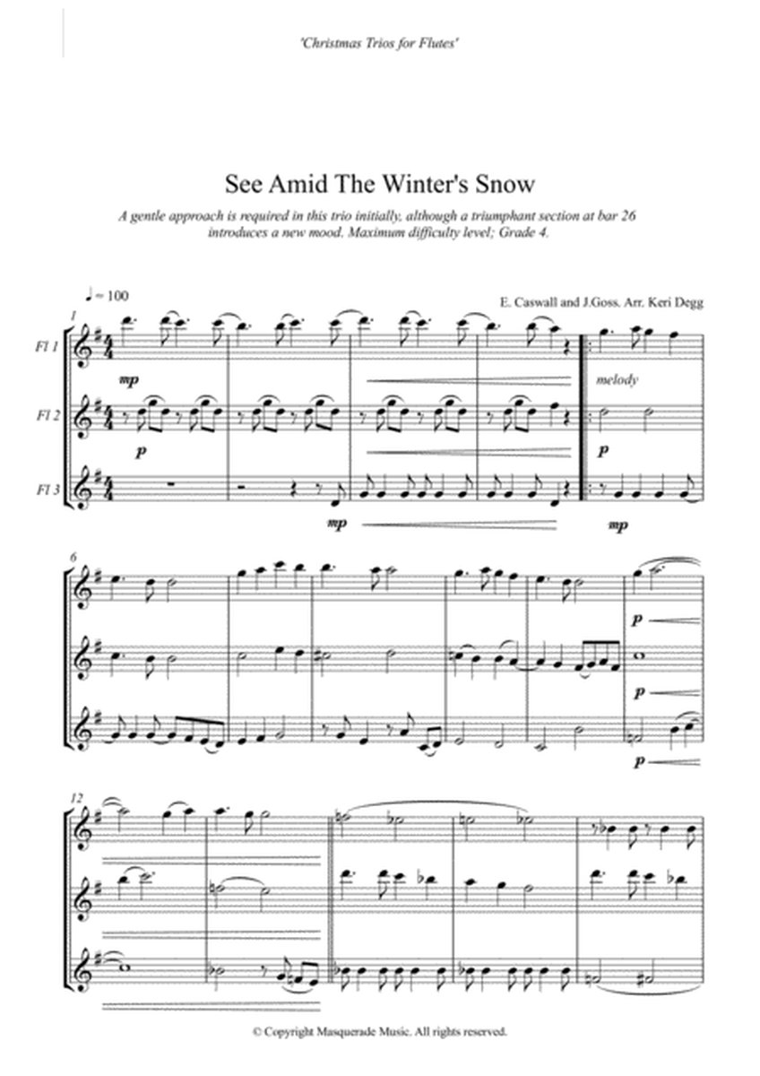 See Amid The Winter's Snow - Flute trio (3 C flutes) grades 2-4 roughly (confident beginner - early image number null