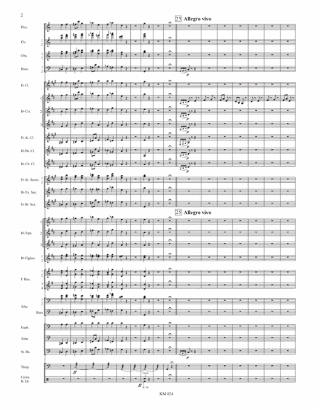 Finale from Symohony No. 2 in C minor, Op. 17 (8/5 x 11)