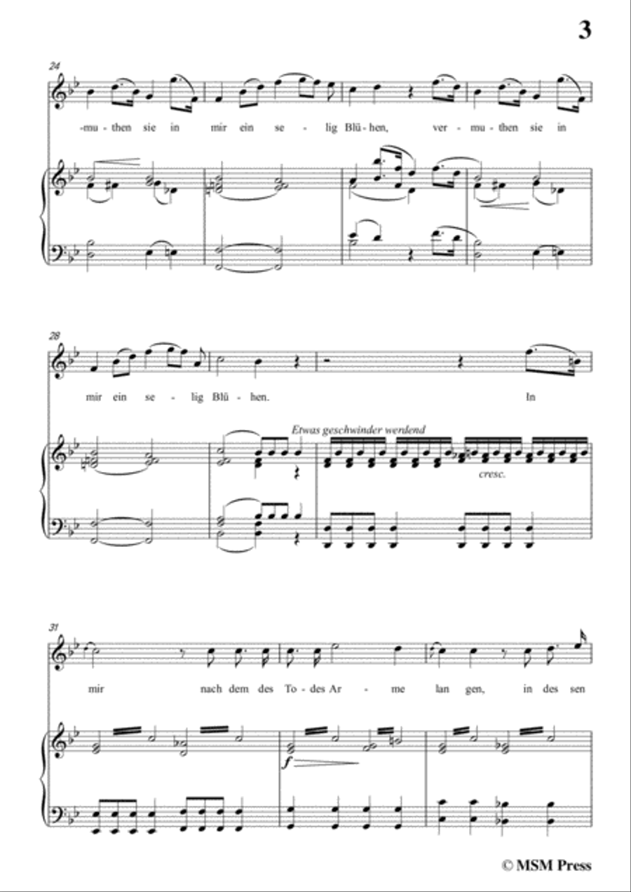 Schubert-Memnon,in G flat Major,Op.6,for Voice and Piano Voice Solo scores gallery preview page 5