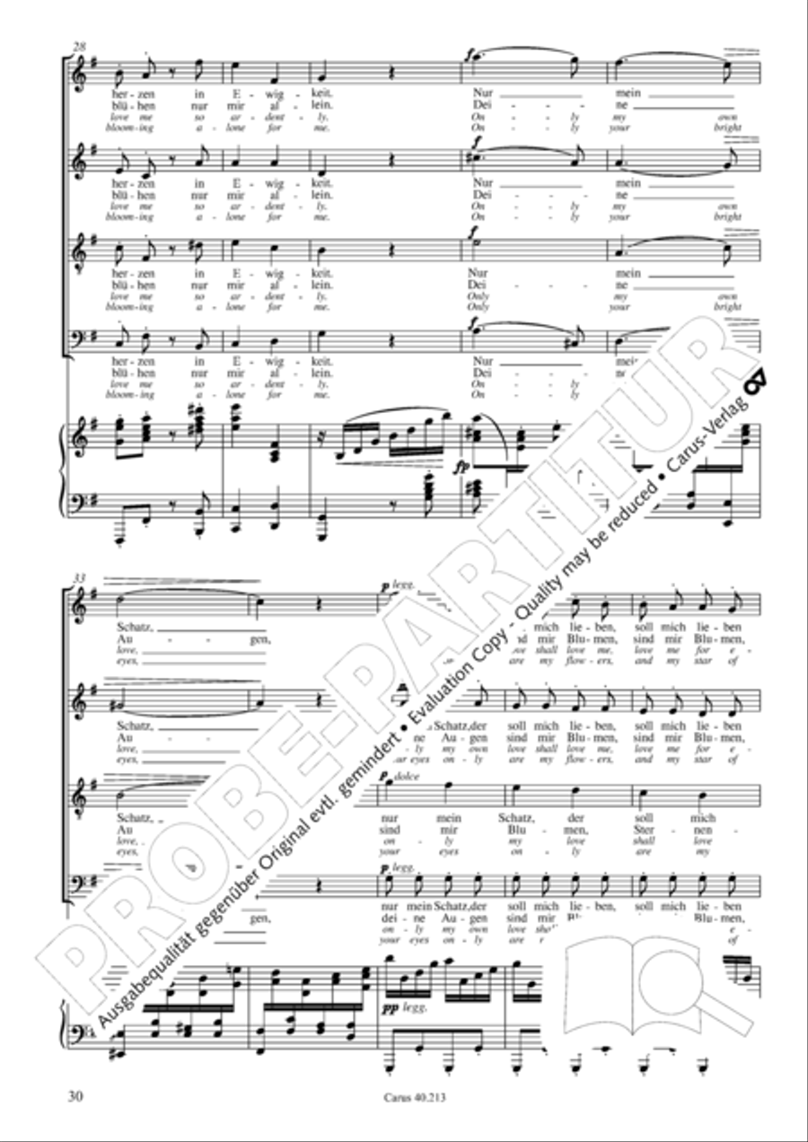Zigeunerlieder op. 103 Zigeunerlieder op. 103 Choir scores gallery preview page 31