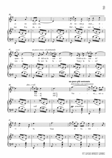 Drigo-Serenata,from 'Arlekinada', in G Major,for Voice and Piano image number null