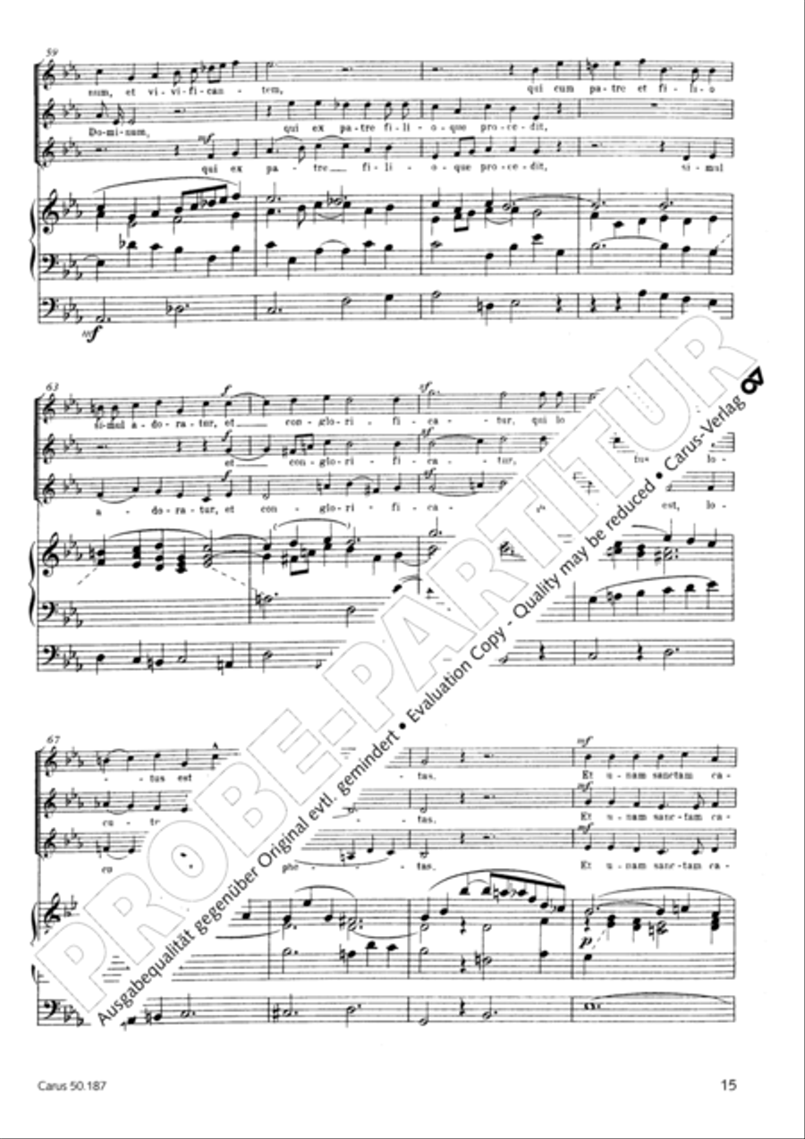 Mass in g minor SSA scores gallery preview page 16