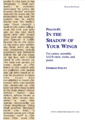 Psalm 63: In the Shadow of Your Wings