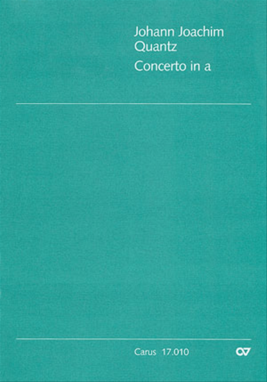 Flute Concerto in A minor (Concerto per Flauto in a) Flute scores gallery preview page 1