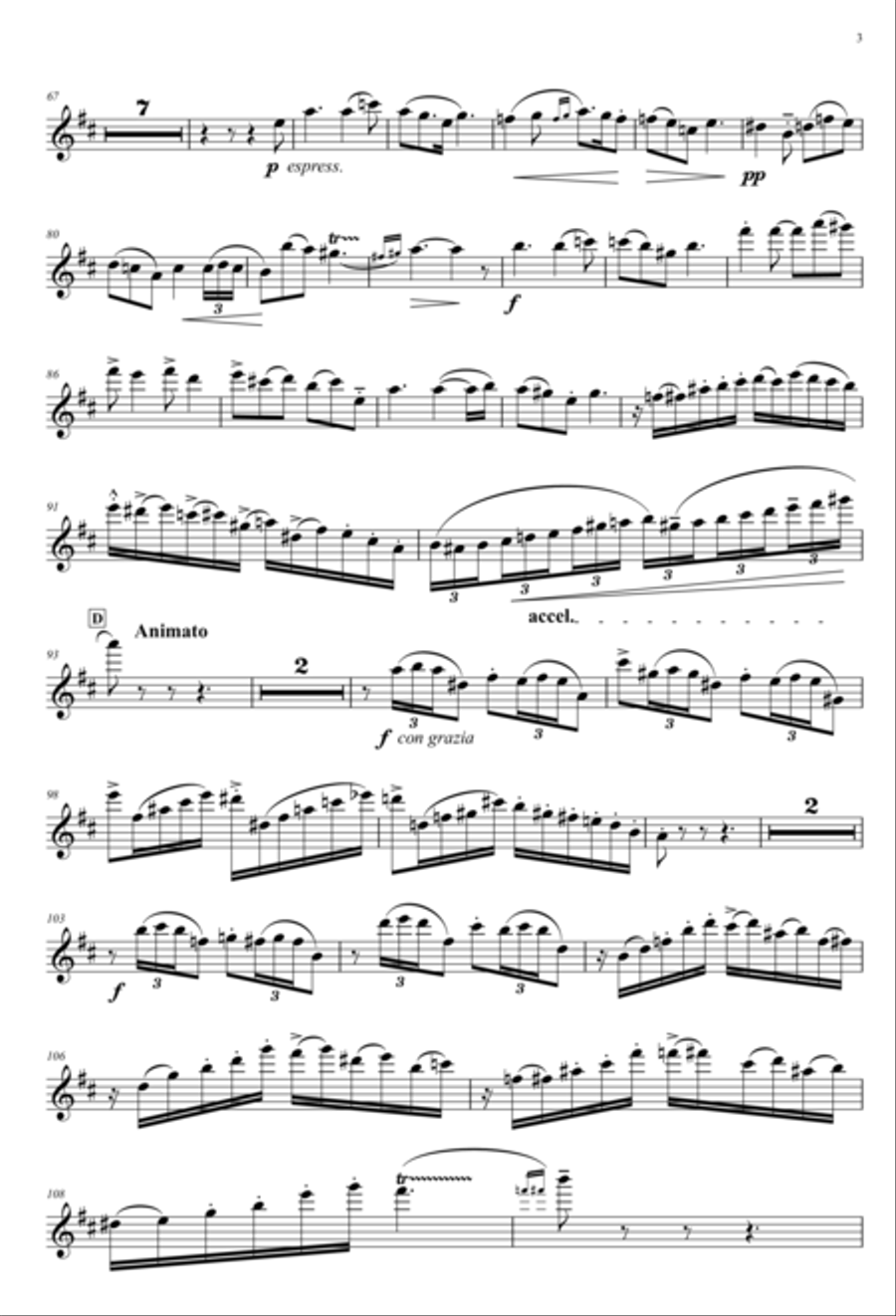 Concerto for Flute Full Orchestra scores gallery preview page 4