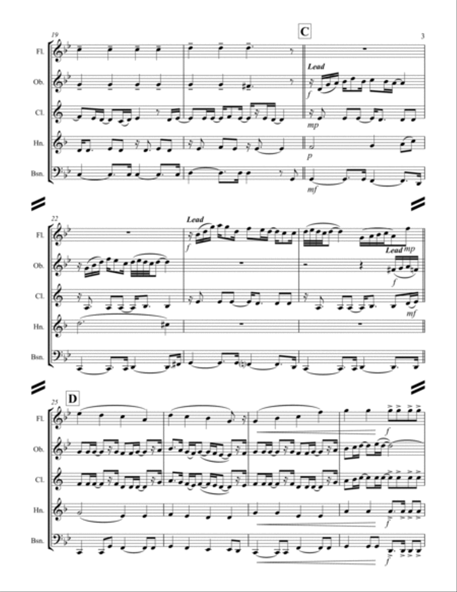 Mary, Did You Know? Woodwind Quintet scores gallery preview page 4