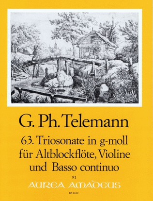 Book cover for 63. Trio sonata G minor TWV 42:g9