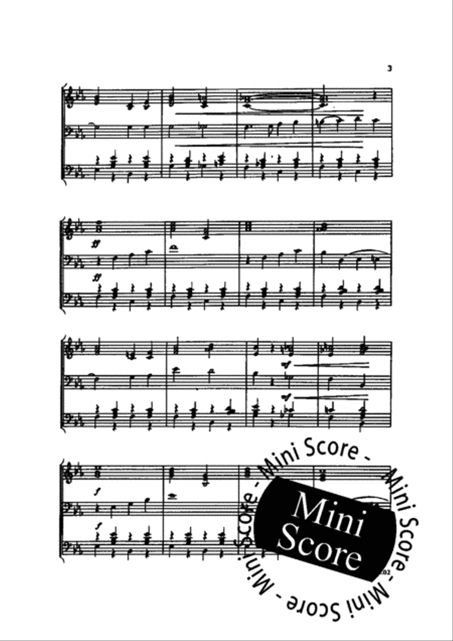 Salto Mortale Fanfare Band scores gallery preview page 5