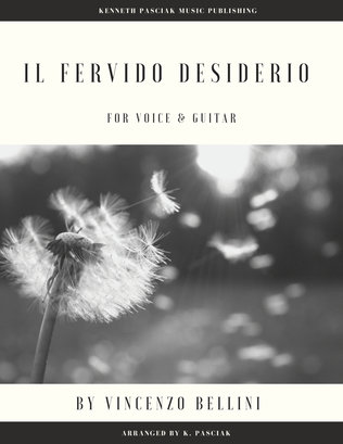 Il fervido desiderio (for Voice and Guitar)