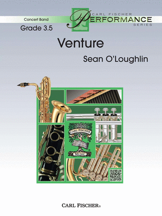 Book cover for Venture