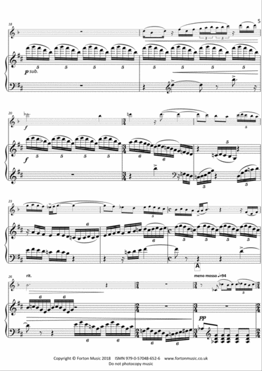 Sonata for Oboe d'Amore and Piano Piano Accompaniment scores gallery preview page 5