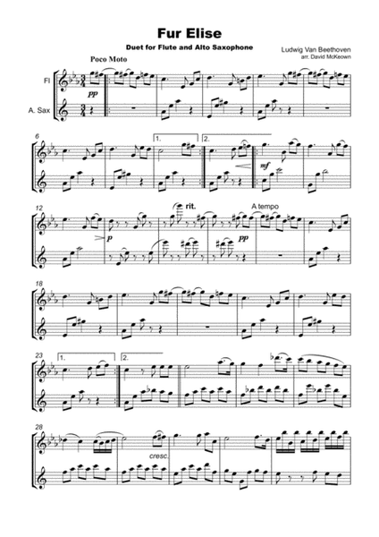 Für Elise, Duet for Flute and Alto Saxophone